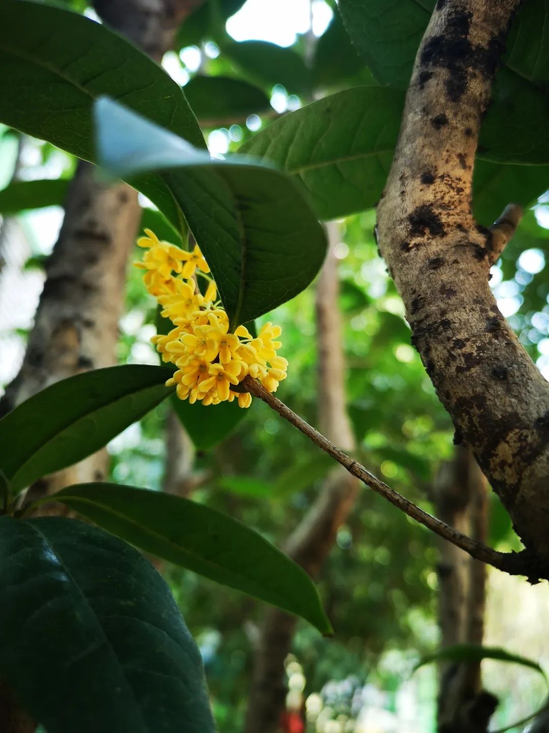 滨江多思创新学校,滨江学校全部排名