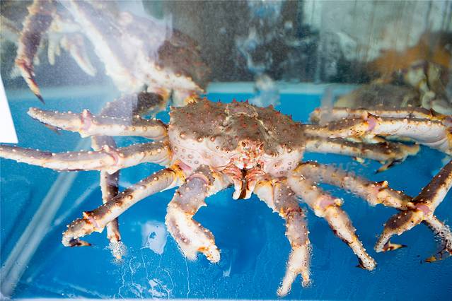 三亚泡酒店带三餐,三亚旅游吃海鲜攻略