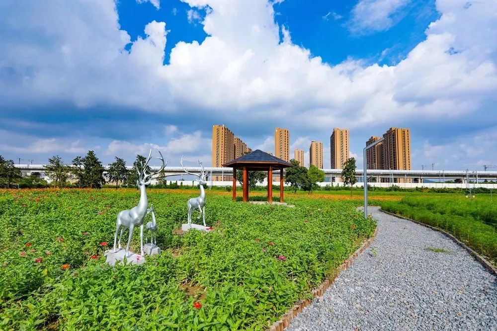 今天，中秋邂逅国庆！拱墅一身“红妆”一城月色，映照万千团圆至味！