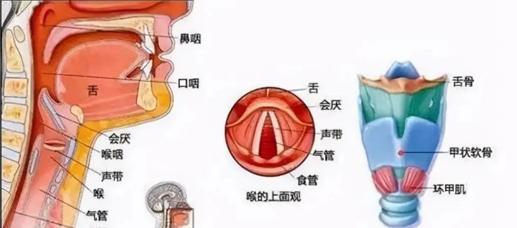 “实在太香了”阿姨差点窒息！医生：这病凶险，最近高发
