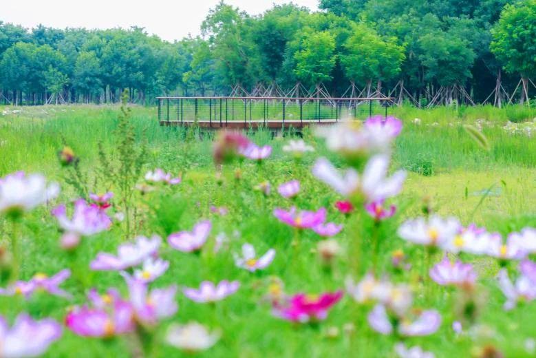 亦庄必打卡,亦庄拍照打卡好看的店