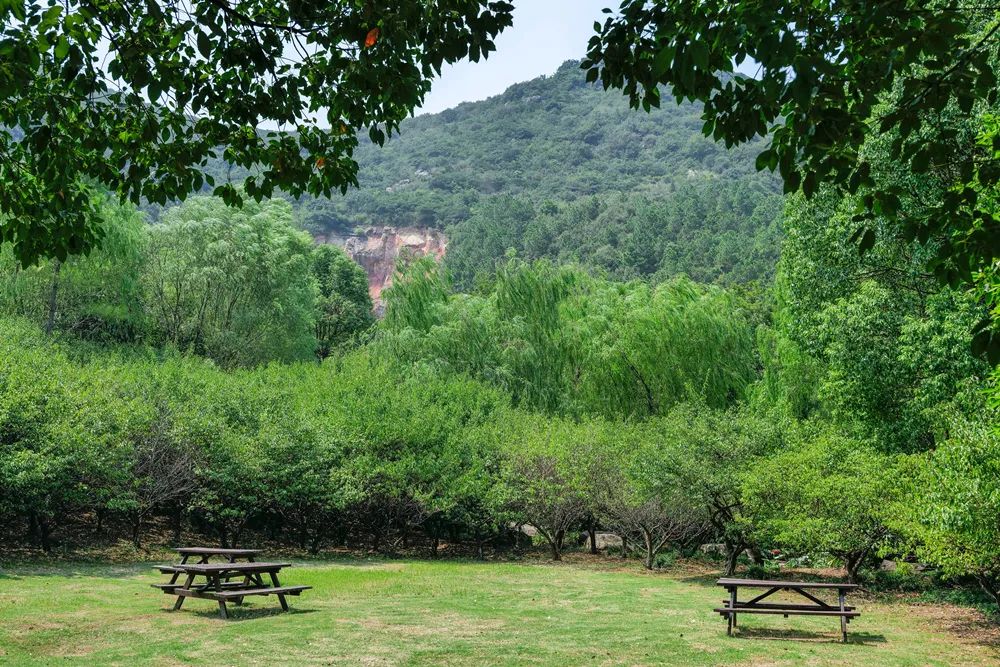 苏州人家的舒适生活,苏州百姓的幸福生活