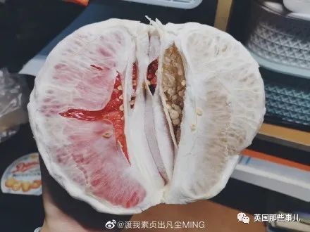 猫头鹰没有眼睛能说话吗,猫头鹰没眼皮