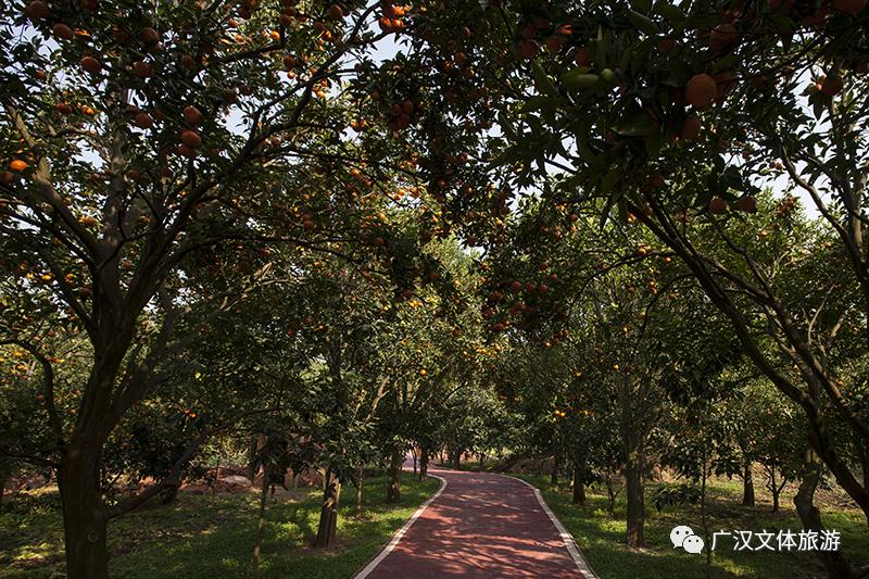 广汉有什么好吃又实惠,广汉有什么推荐的吃的