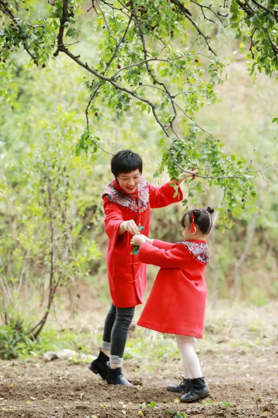 阎良千年枣林的照片,阎良千年枣林老照片