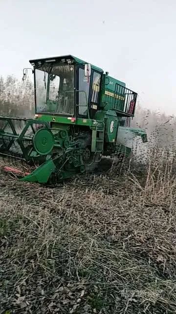 走进我们的幸福小康丨刘文君:一颗“创业心”开拓全村致富路