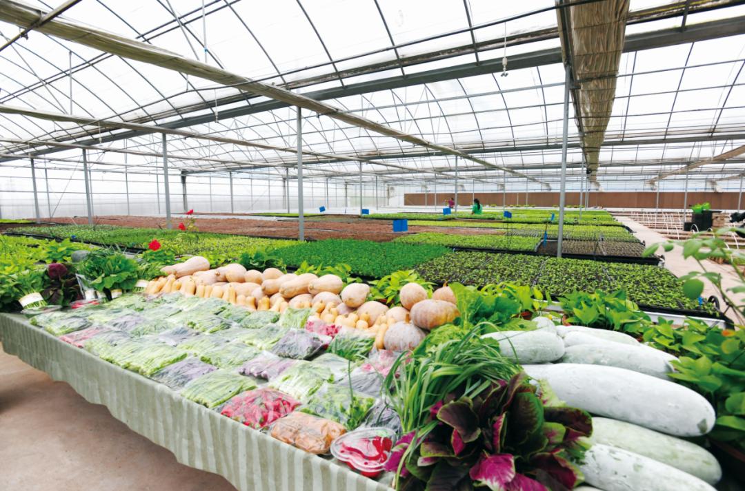 干得漂亮奖状素材,干得漂亮后续