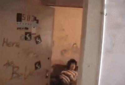 乐夏结束了么,乐夏之后解散的乐队