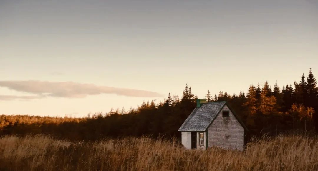 在秋天，向着美好时光，我伸出双手