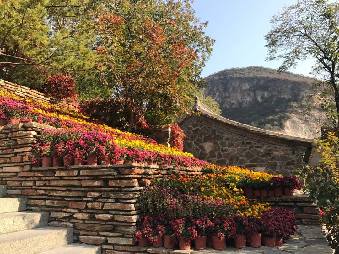 绉嬪ぉ鏉ヨ繖閲岃祻绾㈠彾,鏉ヨ繖閲屼竴璧疯祻绾㈠彾