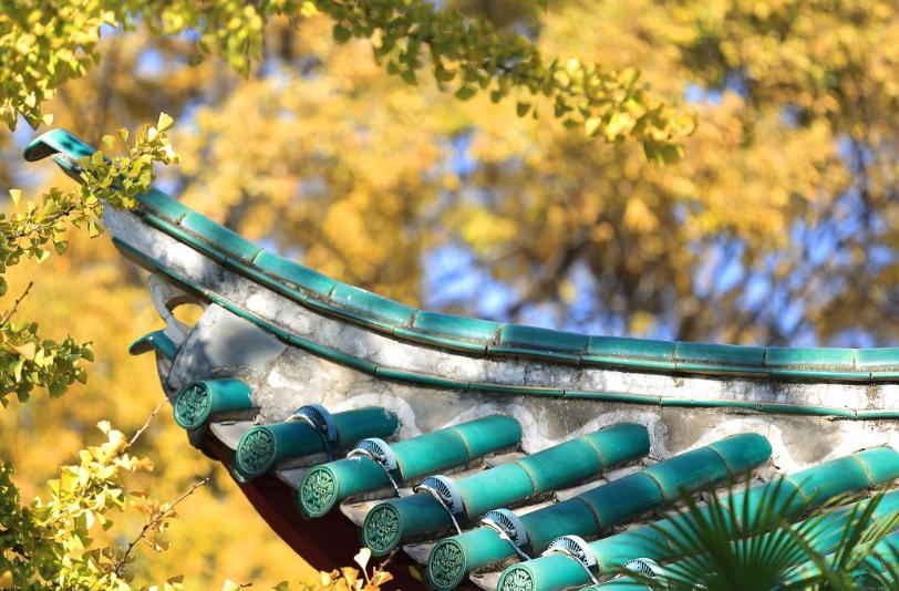 昆明春城秀图片,昆明正宗春城秀