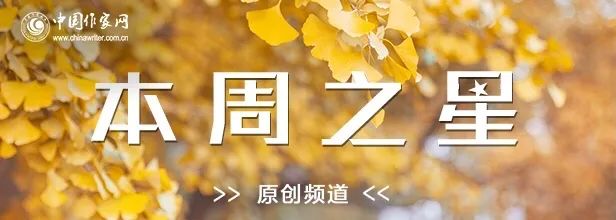 本周之星|苏景文：太阳鸟