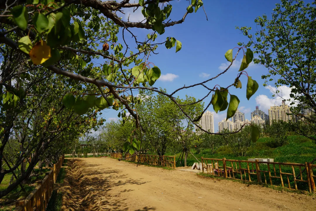 描绘乡村美丽新画卷,描绘中国美丽新画卷