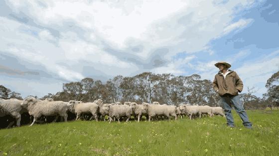 你穿高跟鞋经历过磨脚的痛苦吗,穿高跟鞋脚掌死皮怎么去除
