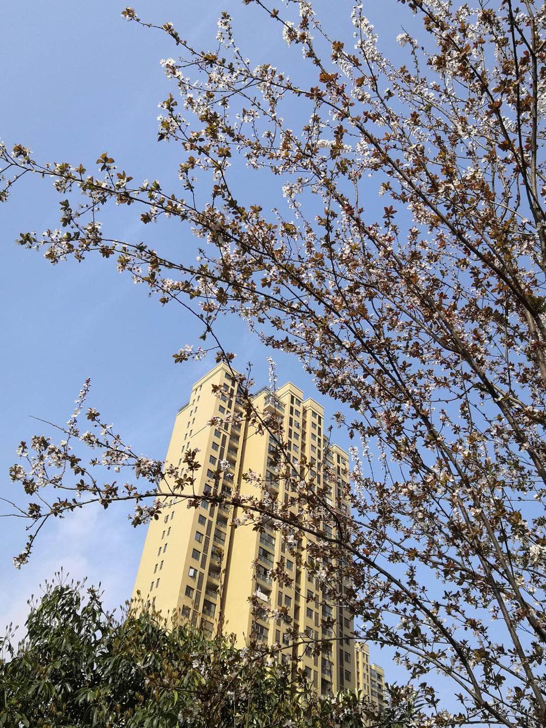 最美风景摄影作品欣赏,古镇优秀摄影作品欣赏