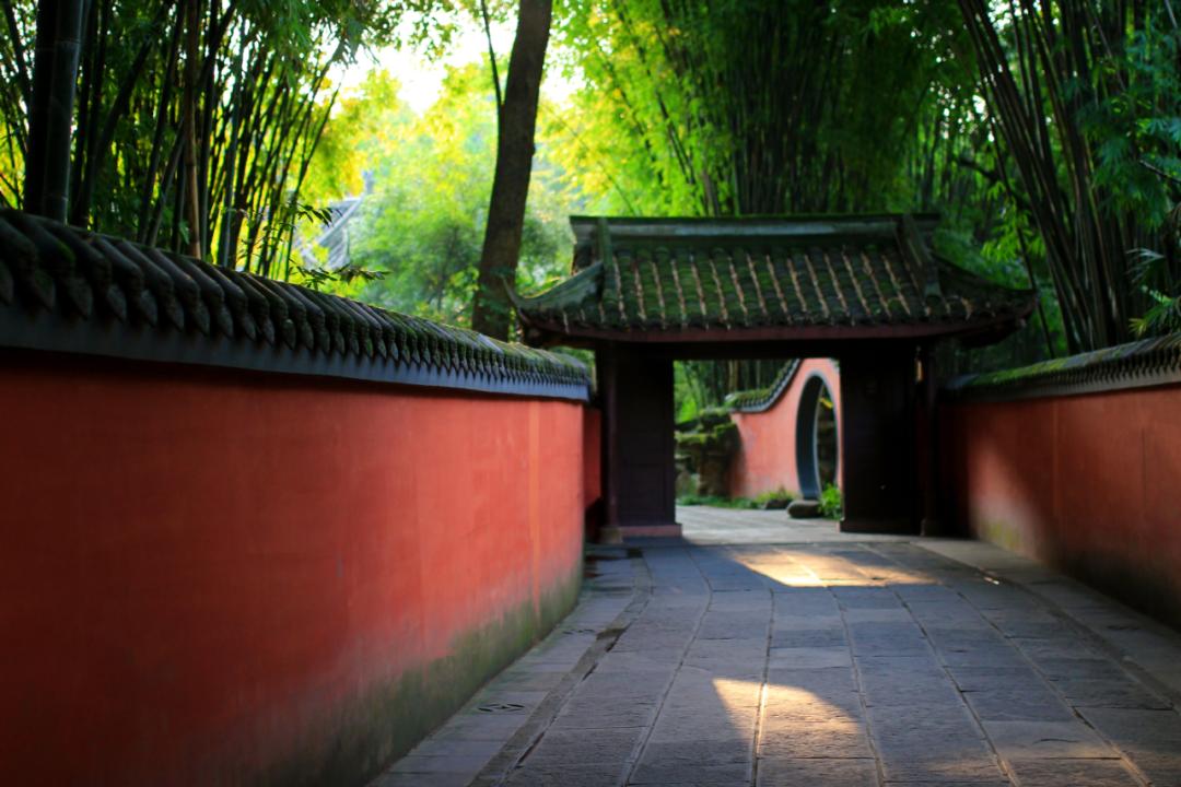 节日荐书③：成都生活的印象