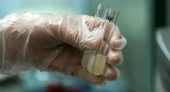 世界男性健康日的图片,男性生殖健康日