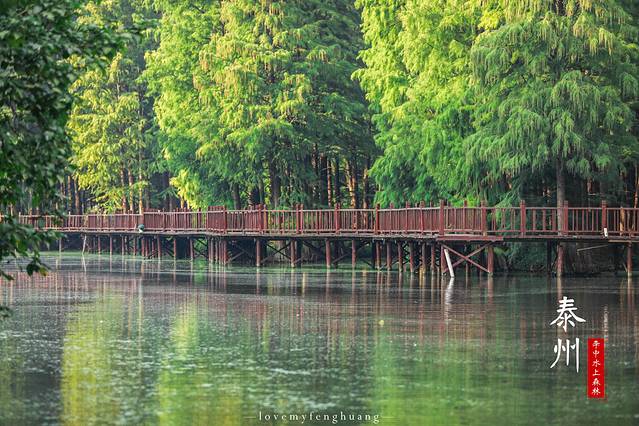 泰州水城有什么好玩,水城泰州
