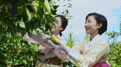 央视报道吉林延边,纪录片延边味道