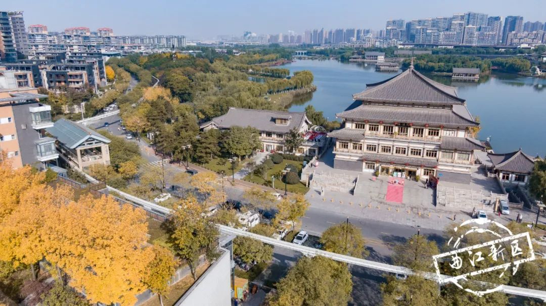 曲江秋天风景,曲江的秋色