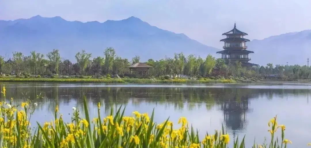 曲江秋天风景,曲江的秋色