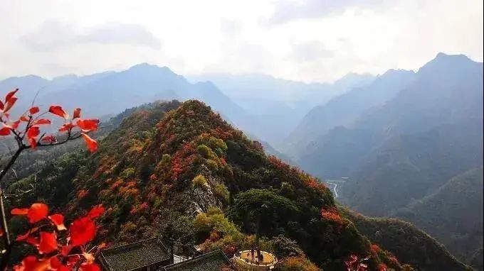 曲江秋天风景,曲江的秋色