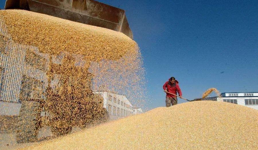 超市员工脚踩冰冻食品,永辉超市工作人员脚踩冷冻鱼虾