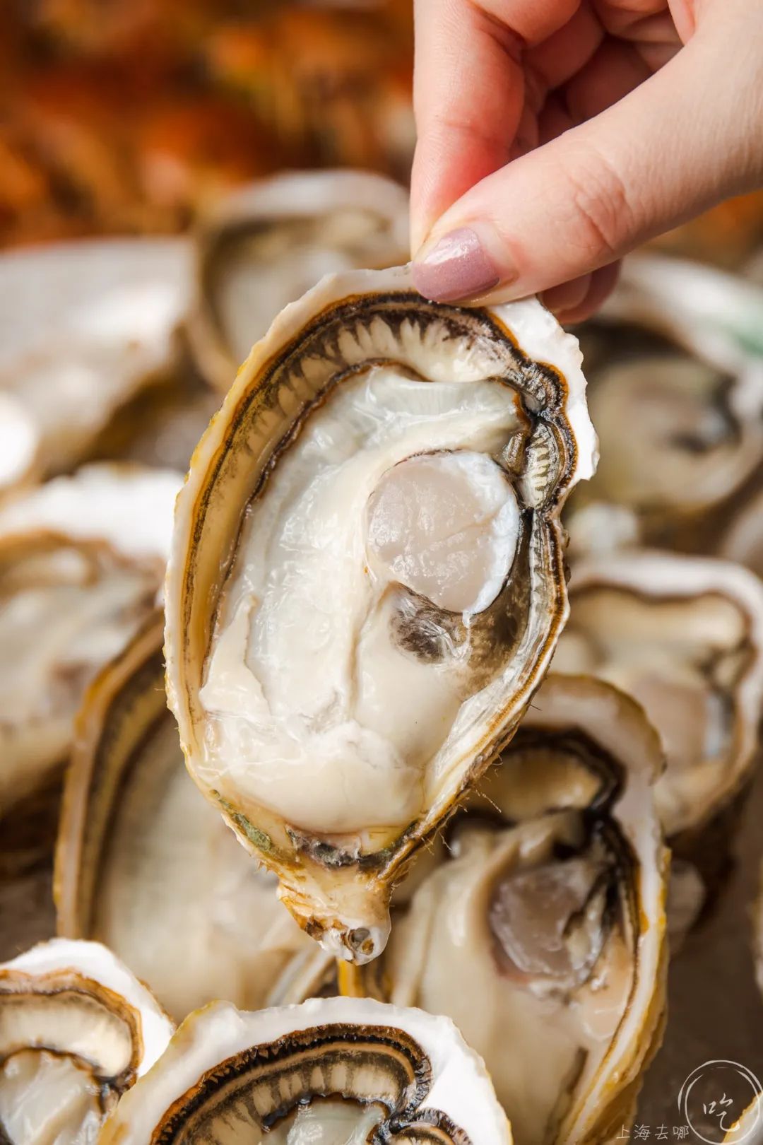 淡水蟹生蚝自助南京,大闸蟹鳗鱼生蚝自助