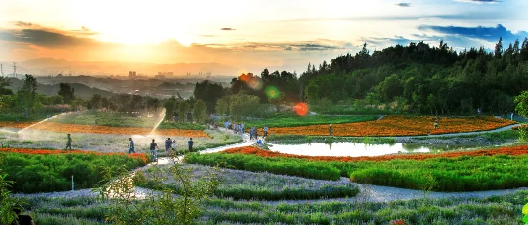 爬厦门仙灵棋山看日出,厦门周边登高望远的地方