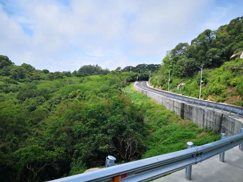 爬厦门仙灵棋山看日出,厦门周边登高望远的地方