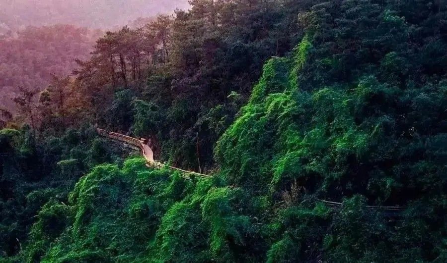 爬厦门仙灵旗,厦门周边登高望远的地方