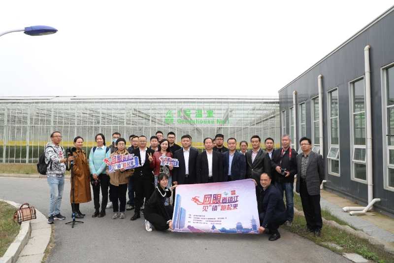 网眼看运河,网眼看镇江聚焦句容