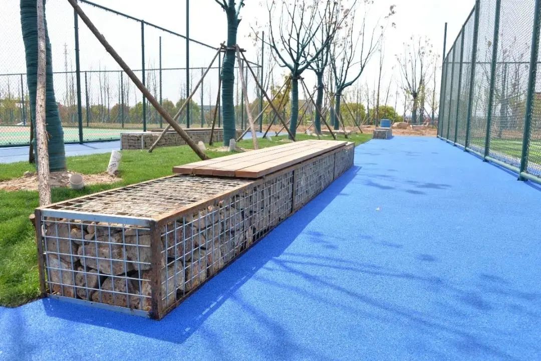 深秋散步好去处，一起动起来！