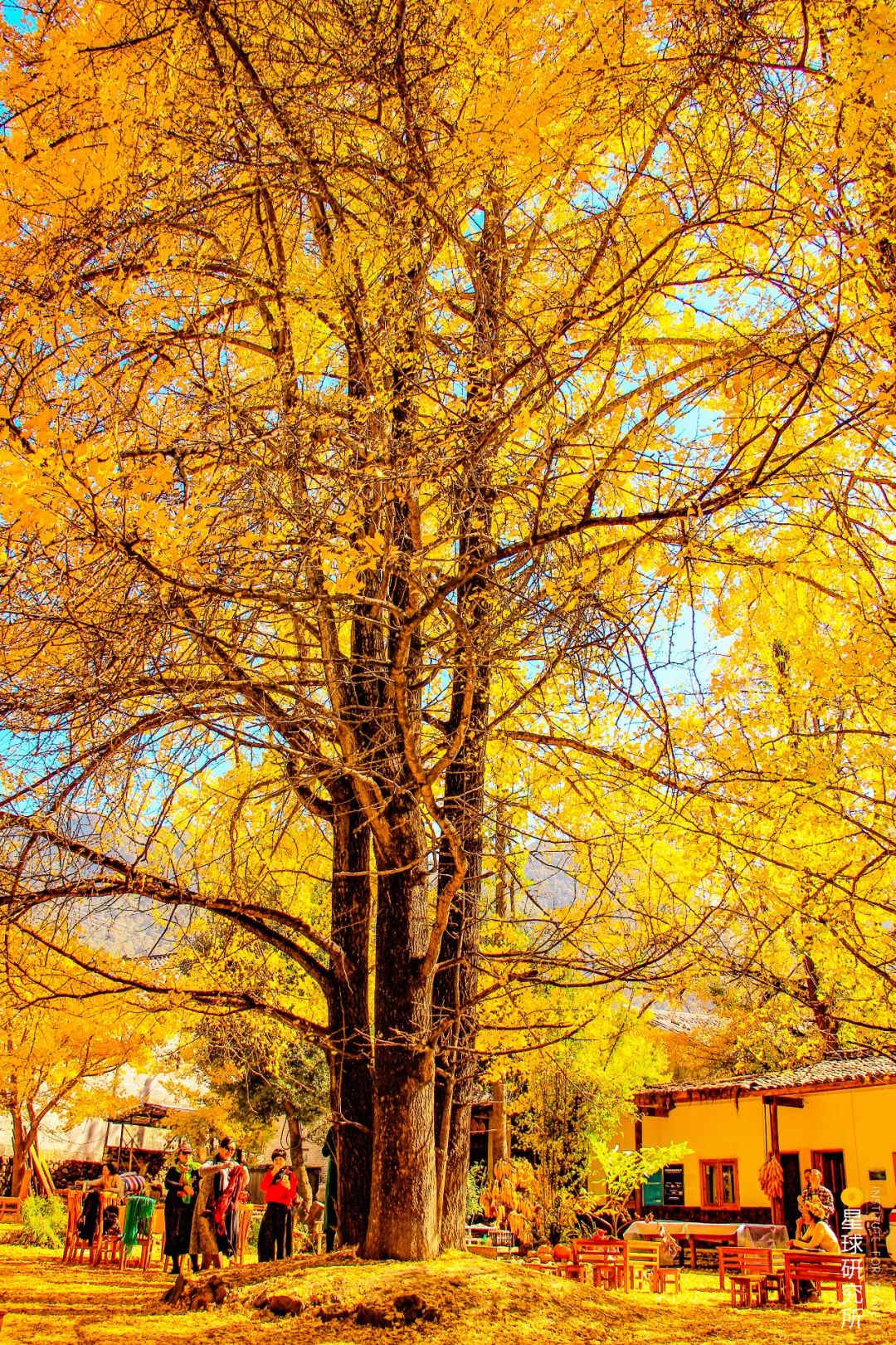 腾冲为什么那么出名,云南的腾冲怎样