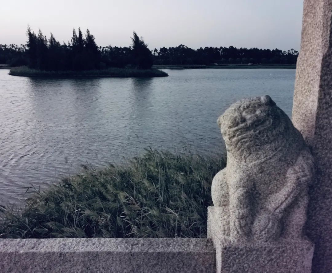 千米老街竟有16处宋元遗迹，上百条古巷飘香，这宝藏小城也太低调了「459集」