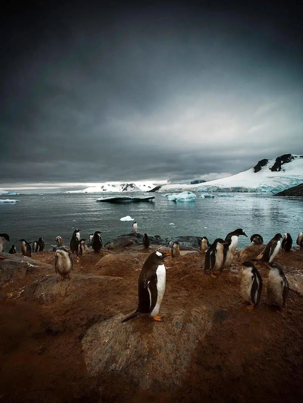 2022ipa国际摄影获奖作品,ipa国际摄影奖