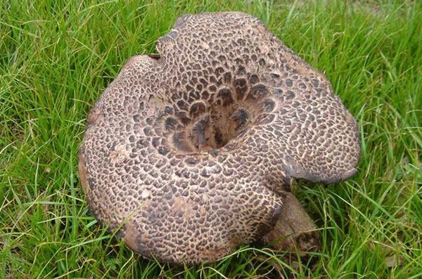 潮玩展昆明,潮玩云南