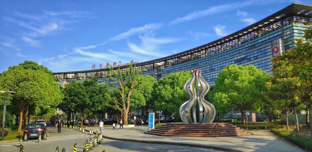 浦东开发开放30周年,上海浦东新区开发开放30周年