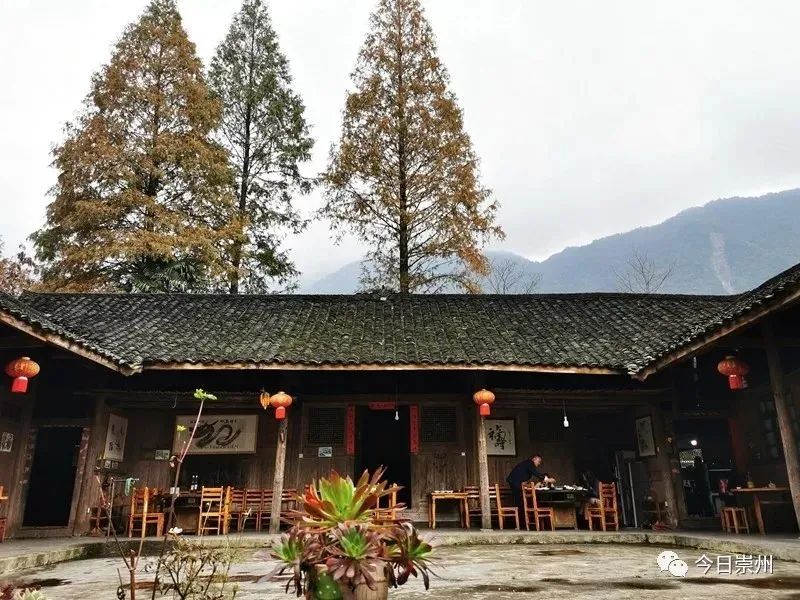 初秋彩林成都周边秘境,成都附近彩林秘境