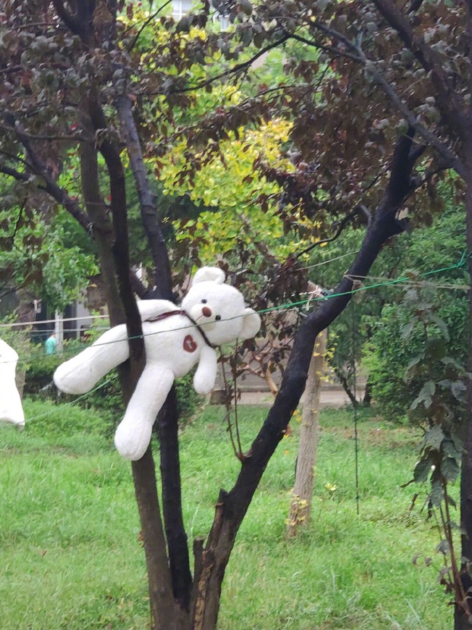 刘昊然在保温杯上班,刘昊然带保温杯上班