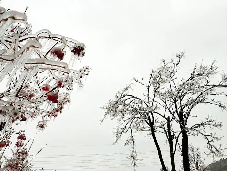延边开启滑雪季快来嗨翻冬天,雪雪来了