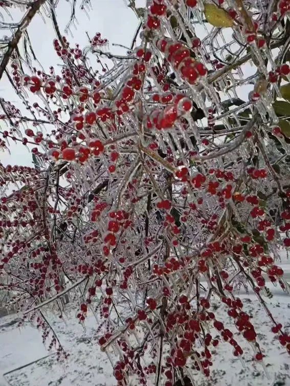 延边滑雪东北已率先进入雪季,延边开启滑雪季快来嗨翻冬天