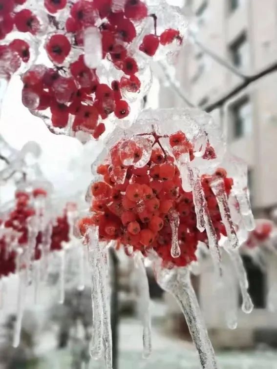 延边滑雪东北已率先进入雪季,延边开启滑雪季快来嗨翻冬天