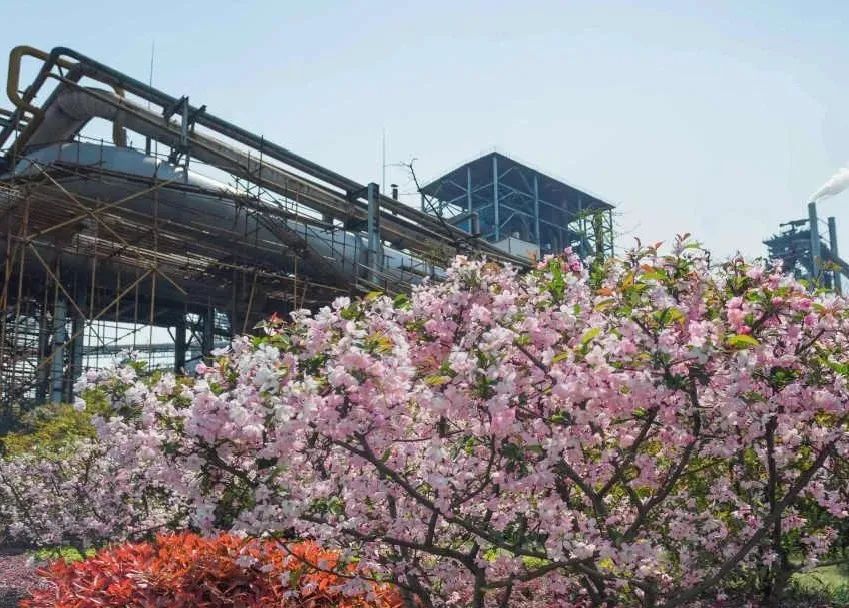 板桥新城的房子值得买吗,主城区房价最新