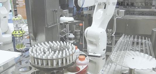 免疫细胞疗法与干细胞疗法,最简单通俗科普干细胞知识