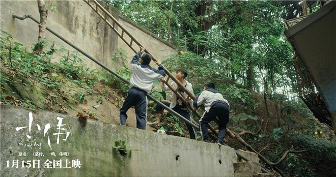 小伟电影影评,小伟真情演绎打动无数人