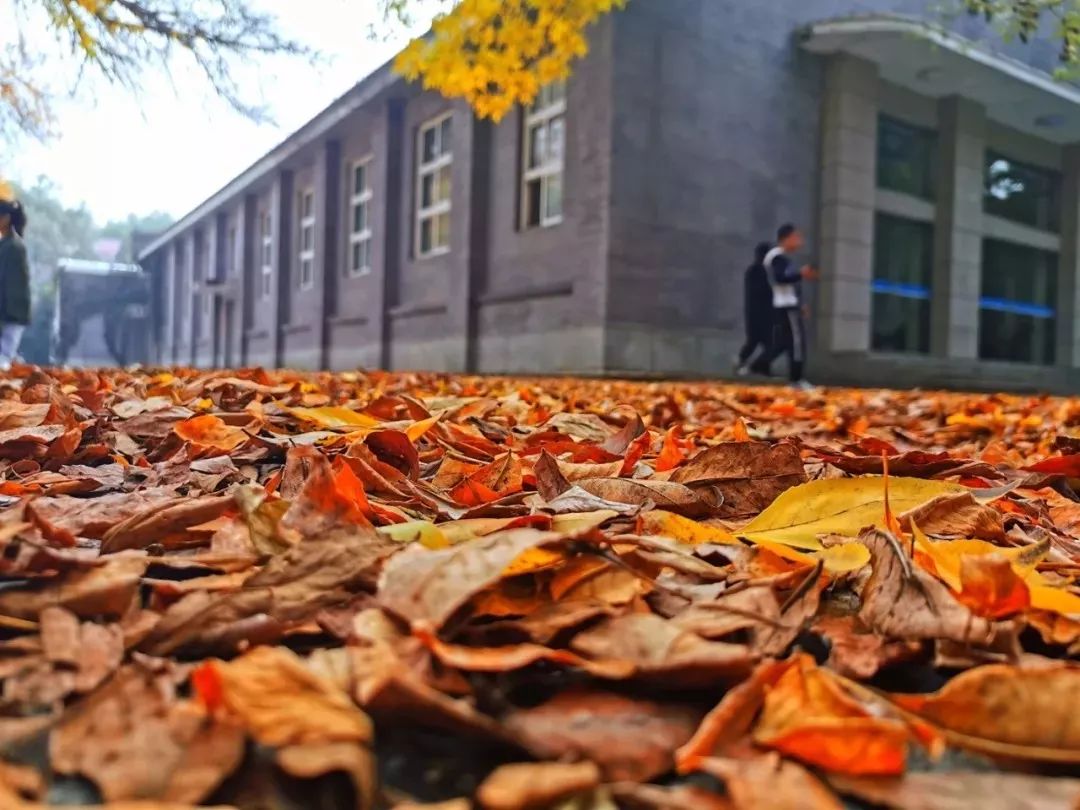 在师大的一天,在师大的生活