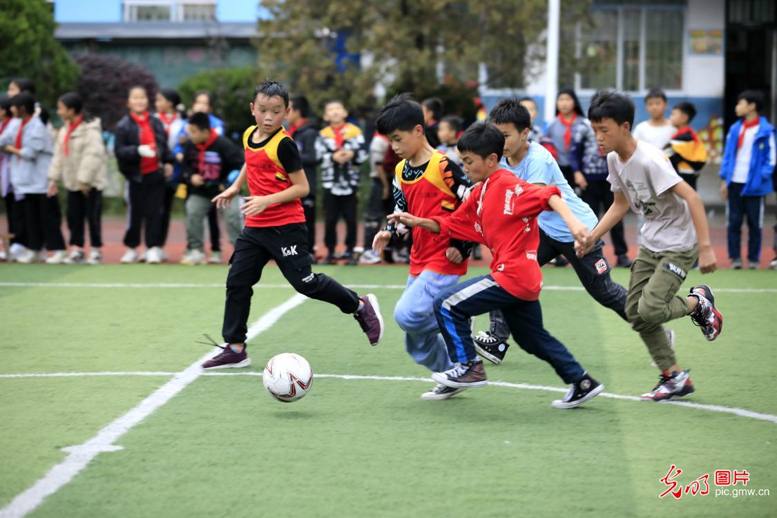 足球小将驰骋绿茵比拼球技,足球小将比赛