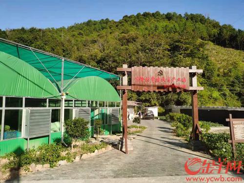 广州南沙区打出消费扶贫“组合拳”,巩固脱贫成果助推乡村振兴