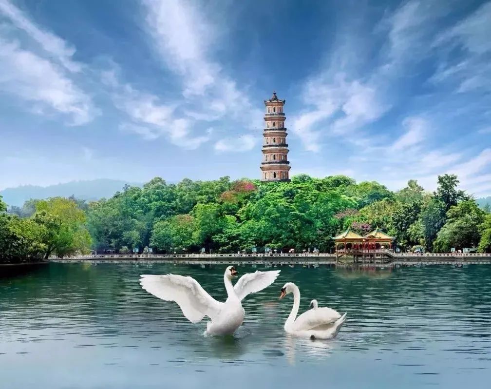 什么是广东省直社保,什么是广东瓷砖